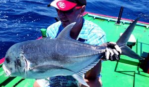 20150927_122134.jpg 20150927_122134.jpg