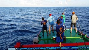 20150927_172411.jpg 20150927_172411.jpg