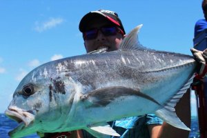 IMG_3114.jpg IMG_3114.jpg