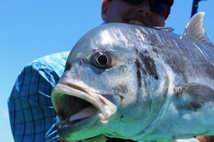 IMG_3119.jpg IMG_3119.jpg