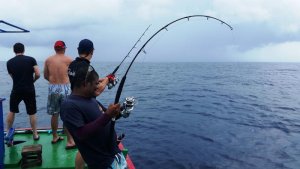 20150929_113349.jpg 20150929_113349.jpg