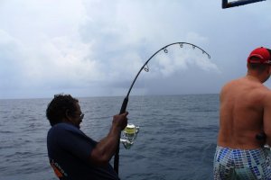 IMG_3239.jpg IMG_3239.jpg