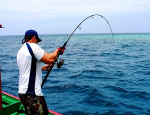 IMG_3271.jpg IMG_3271.jpg