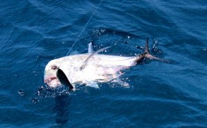 IMG_3276.jpg IMG_3276.jpg