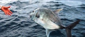 IMG_3364.jpg IMG_3364.jpg