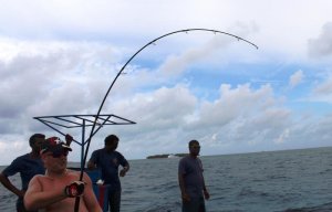 IMG_3371.jpg IMG_3371.jpg