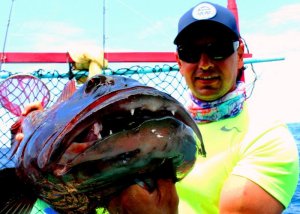 IMG_3429.jpg IMG_3429.jpg