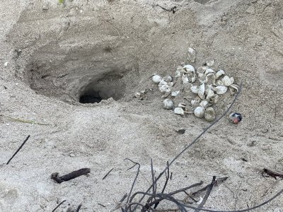 26B3F0CA-74C0-465F-A86F-F19DB89CE1D1.jpeg 26B3F0CA-74C0-465F-A86F-F19DB89CE1D1.jpeg