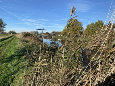 000C1862-734E-40DC-88A9-D6D922B55A03.jpeg 000C1862-734E-40DC-88A9-D6D922B55A03.jpeg