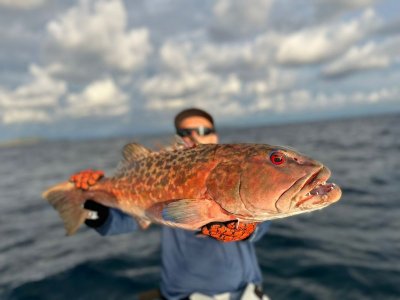 5E44538C-0F4C-428D-9A35-962CE585C918.jpeg 5E44538C-0F4C-428D-9A35-962CE585C918.jpeg