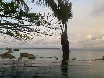 D313FF5E-5C31-4907-A163-AD8C00931FDA.jpeg D313FF5E-5C31-4907-A163-AD8C00931FDA.jpeg