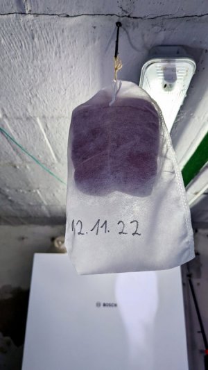 PXL_20221112_110051230.jpg PXL_20221112_110051230.jpg