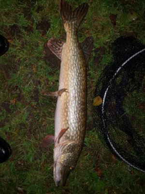 20221120_171212.jpg 20221120_171212.jpg