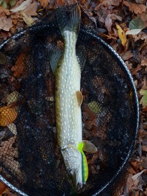 20221120_163527.jpg 20221120_163527.jpg