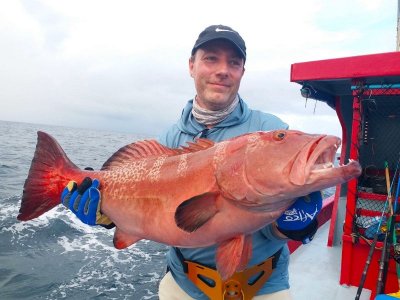 WhatsApp Image 2022-11-19 at 15.14.28.jpeg