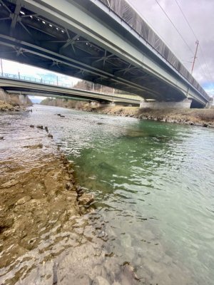 D4BFB3AD-8C44-4A73-B631-254BECF7E71E.jpeg D4BFB3AD-8C44-4A73-B631-254BECF7E71E.jpeg