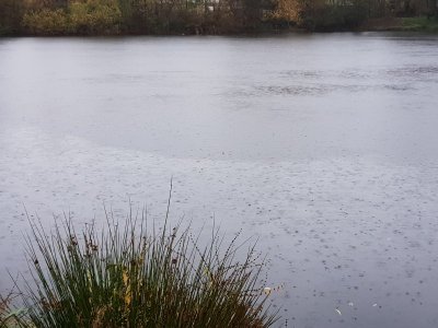 20221123_162911.jpg 20221123_162911.jpg