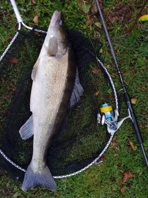 20221123_162552.jpg 20221123_162552.jpg