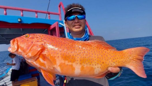 WhatsApp Image 2022-11-22 at 13.20.13.jpeg