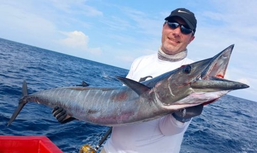 WhatsApp Image 2022-11-22 at 13.44.25.jpeg