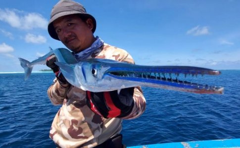 WhatsApp Image 2022-11-23 at 13.41.09.jpeg