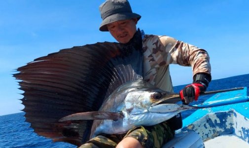 WhatsApp Image 2022-11-23 at 13.41.15.jpeg