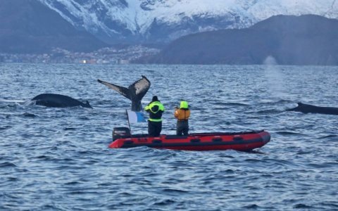 4R1A0393.jpg 4R1A0393.jpg