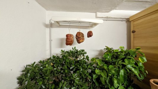 PXL_20221202_162310119.jpg PXL_20221202_162310119.jpg