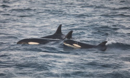 4R1A0067.JPG 4R1A0067.JPG