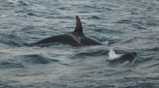 4R1A0159.JPG 4R1A0159.JPG