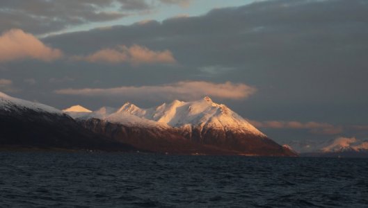 4R1A0243.JPG 4R1A0243.JPG