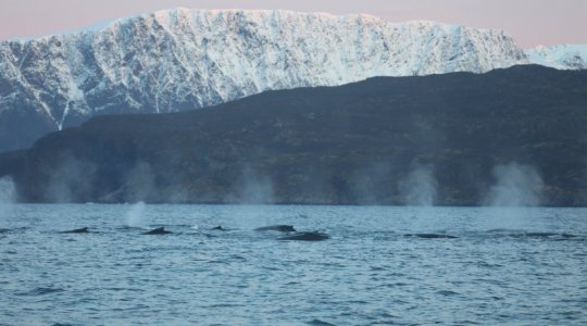 4R1A0305.JPG 4R1A0305.JPG