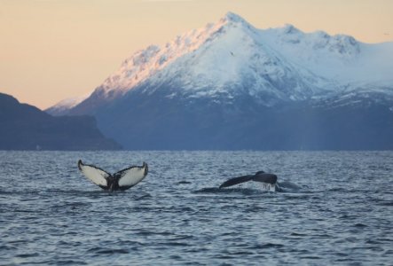 4R1A0679.JPG 4R1A0679.JPG