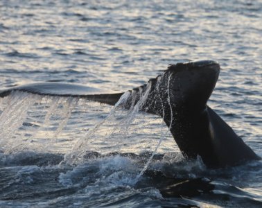 4R1A0934.JPG 4R1A0934.JPG