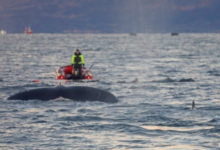 4R1A1371.JPG 4R1A1371.JPG