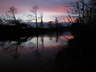 DSCN4183.JPG DSCN4183.JPG