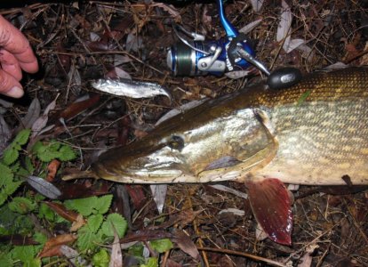 DSCN4191.JPG DSCN4191.JPG