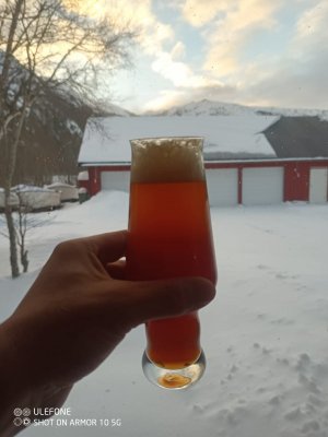 IMG_20221218_114849_700.jpg IMG_20221218_114849_700.jpg