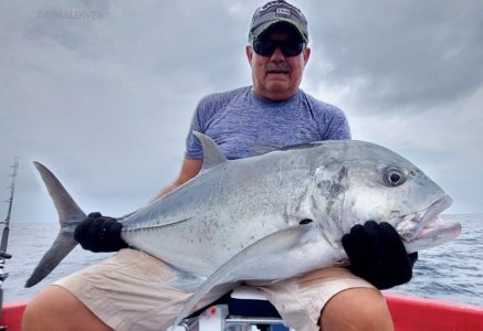 PHOTO-2022-12-22-09-25-07.jpg PHOTO-2022-12-22-09-25-07.jpg