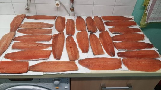 WhatsApp Image 2022-12-20 at 12.45.52 (2).jpeg