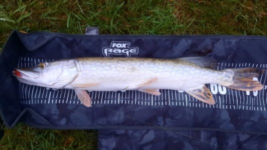 20221226_161713.jpg 20221226_161713.jpg