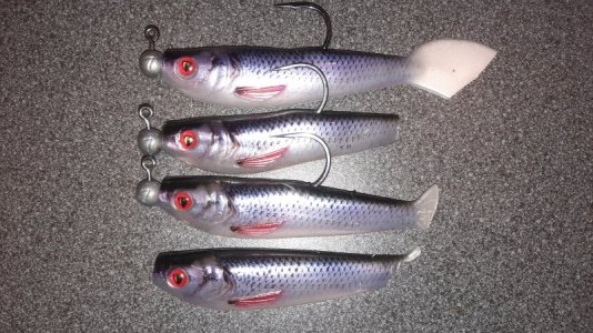 20221228_170349.jpg 20221228_170349.jpg