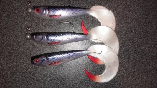 20221228_170427.jpg 20221228_170427.jpg