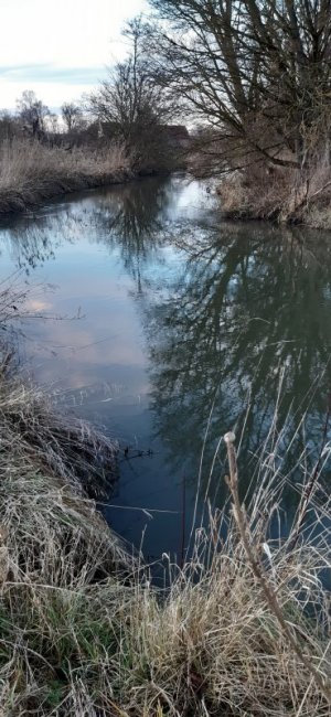 20221227_162322.jpg 20221227_162322.jpg