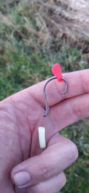 20221227_163115.jpg 20221227_163115.jpg