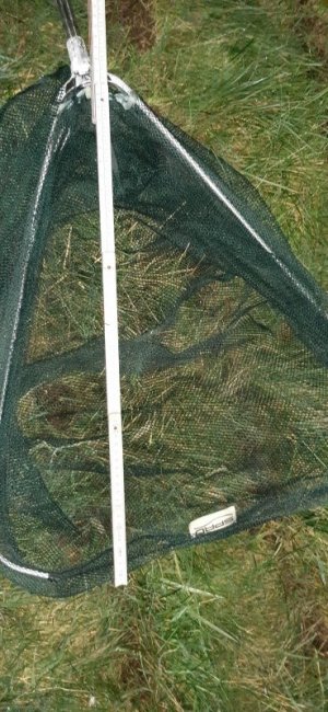 20221227_190213.jpg 20221227_190213.jpg