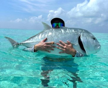 322471639_1227975138064795_7519389682568396074_n.jpg 322471639_1227975138064795_7519389682568396074_n.jpg