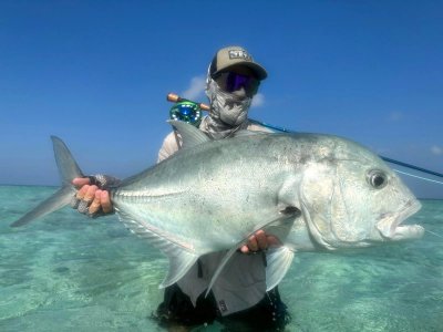 f033e42e-624c-40a4-9a6f-3eeb51a69f97.JPG f033e42e-624c-40a4-9a6f-3eeb51a69f97.JPG