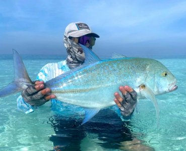 847e6ca9-a4b5-41ae-832d-2c9fc96268c5.JPG 847e6ca9-a4b5-41ae-832d-2c9fc96268c5.JPG