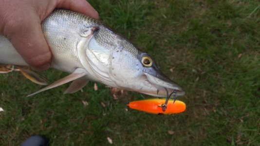 20221229_132427.jpg 20221229_132427.jpg